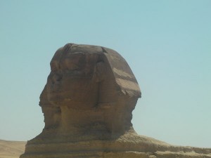 The sphinx